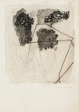 Kompozice
