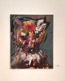 LUCUS BOHEMIAE ANEB PŮLNOČNÍ HOUBAŘ