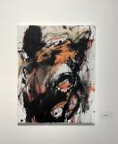 LUCUS BOHEMIAE ANEB PŮLNOČNÍ HOUBAŘ