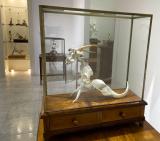 Z KABINETŮ STUCHLÝCH