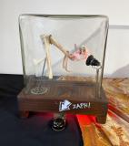 Z KABINETŮ STUCHLÝCH