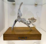 Z KABINETŮ STUCHLÝCH