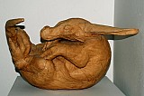 Hrbáč