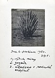 Opeřenec