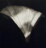 Noční zahrada - Durmán