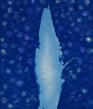 Blue Source