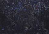Lanscape in a Swarm
