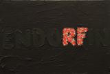 EndoRFin